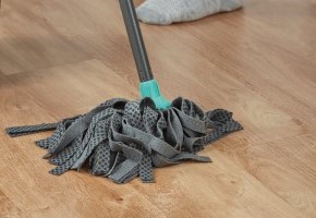 VGW85T French Oak Cleaning Mopping Floor_CM.jpg