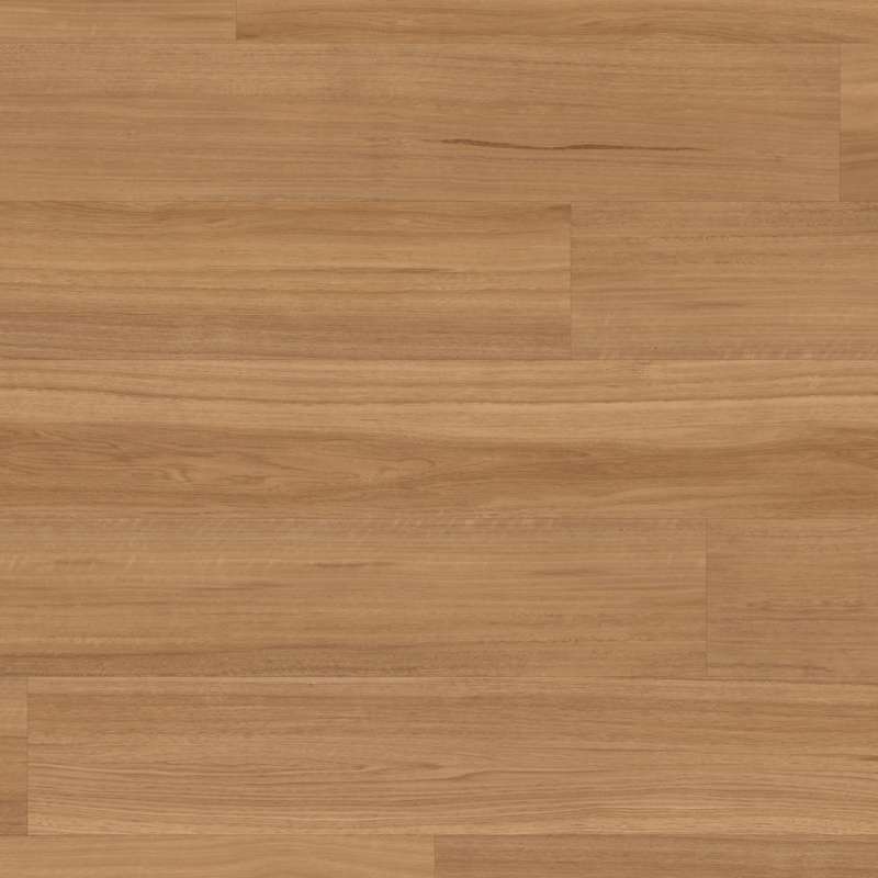 Classic Spotted Gum SCB-KP149