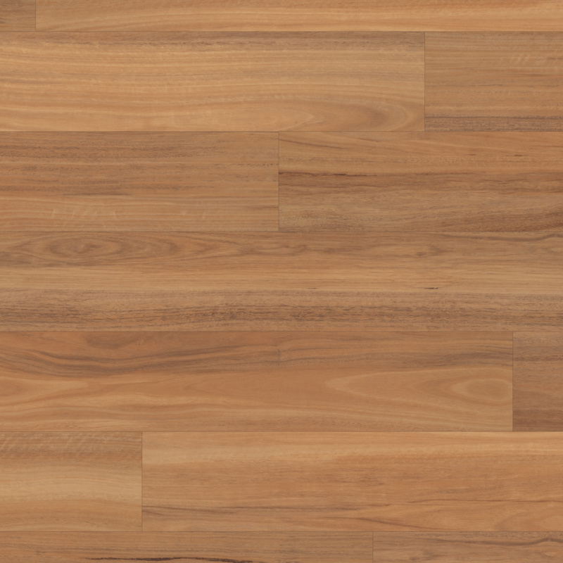 Northern Spotted Gum VGW103T 